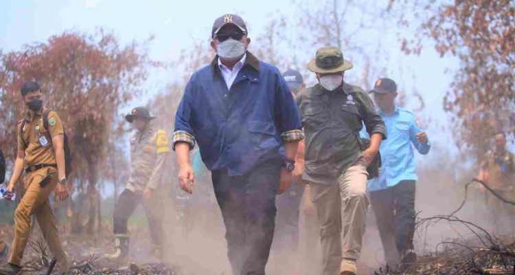 Gubernur Sumatera Selatan (Sumsel) Dr. H. Herman Deru meninjau langsung kondisi Pusat Konservasi Gajah (PKG) di kawasan Suaka Margasatwa Padang Sugihan, Kabupaten Banyuasin, Senin (21/9) siang. Foto: Humas Pemprov Sumsel.