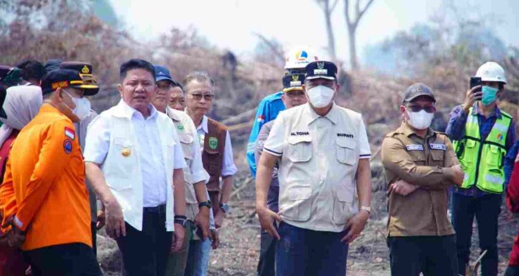 karhutla-40kb Bupati Musi Banyuasin, HM Toha Tohet, SH mendampingi Gubernur Sumatera Selatan Dr H Herman Deru meninjau sejumlah titik kebakaran hutan, kebun dan lahan (Karhutla) di Kecamatan Lais, Kabupaten Musi Banyuasin, Jumat (4/9/2026). Salah satu lokasi yang ditinjau berada di Desa Tanjung Agung Timur. Foto: Kominfo Muba.