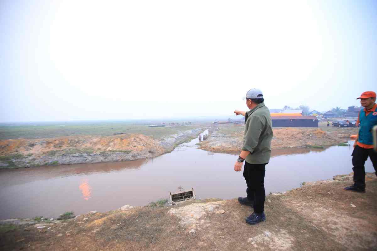 Gubernur Sumsel, Herman Deru saat meninjau karhutla berada di Kabupaten OKI. Foto: Humas Pemprov Sumsel.