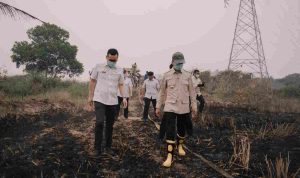 Walikota Palembang, Ratu Dewa saat meninjau kekabaran lahan di salah satu titik Kota Palembang. Foto: Kominfo Palembang.