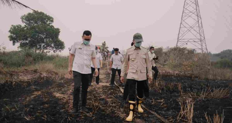 Walikota Palembang, Ratu Dewa saat meninjau kekabaran lahan di salah satu titik Kota Palembang. Foto: Kominfo Palembang.