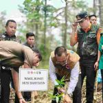 Wabup OKI, Rohman ikut penanaman demplot bambu, serta peninjauan infrastruktur pembasahan gambut di Kabupaten Ogan Komering Ilir (OKI), Jumat (30/10//2026). Foto: Kominfo Muba.