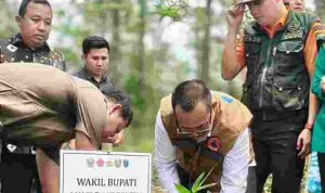 gambut-40kb Wabup OKI, Rohman ikut penanaman demplot bambu, serta peninjauan infrastruktur pembasahan gambut di Kabupaten Ogan Komering Ilir (OKI), Jumat (30/10//2026). Foto: Kominfo Muba.