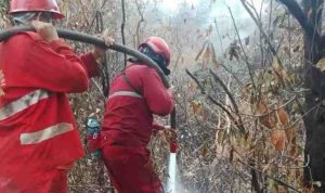 semprot-40kb Para petugas siang malam bekerja memadamkan api, termasuk lewat satgas darat. Foto: Dok Humas Pemprov Sumsel.