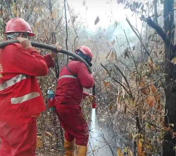 Para petugas siang malam bekerja memadamkan api, termasuk lewat satgas darat. Foto: Dok Humas Pemprov Sumsel.